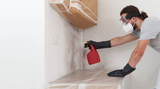 Professional Mold Removal technician working in Woodbury, NY
