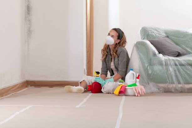 Reliable Mold Remediation contractor in Woodbury, NY by Cheap Mold Removal